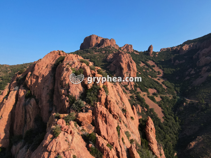 Esterel - affleurement de rhyolite - gryphea.com